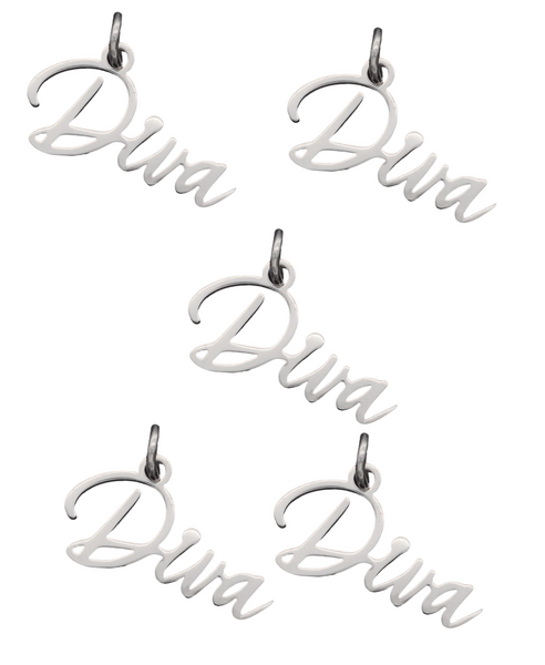 5pc -Stainless Steel Diva Charms C29