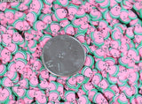 10g - PINK Watermelon Fruit Polymer Clay Slices (5mm) - C10