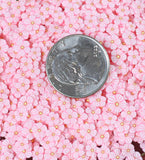 10gram -Pink Daisy Flower Fruit Slices Polymer Clay C9